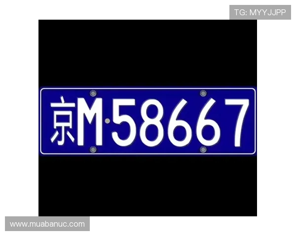 TVT体育在线登录页面最新更新，确保用户顺畅访问和账号信息安全