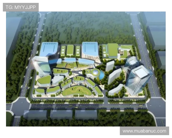 星空体育入口助推智慧体育生态建设实现数字化转型新突破 星空体育入口助推智慧体育生态建设实现数字化转型新突破