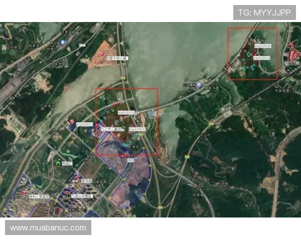 乐竞体育平台如何利用数据分析提升赛事直播的专业水平