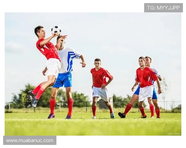 足球预测模型的常见类型及其在不同比赛中的适用性分析