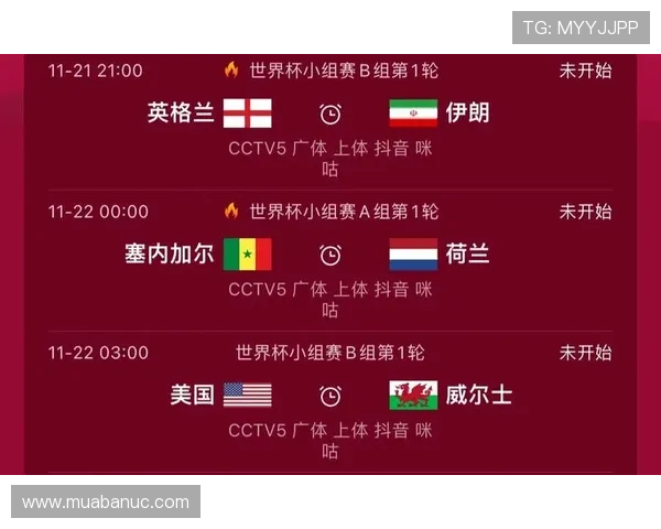世界杯埃及与伊朗比赛中的战术布局与球队表现解析